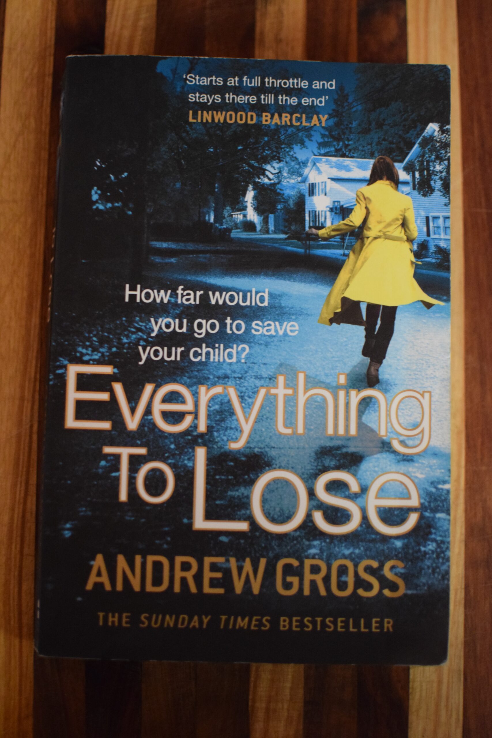 Andrew Gross- Everything To Lose