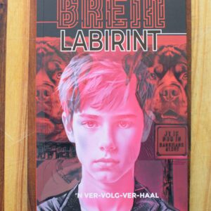 Francois Bloemhof - Brein Labirint