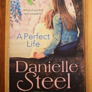 Danielle Steel - A Perfect Life