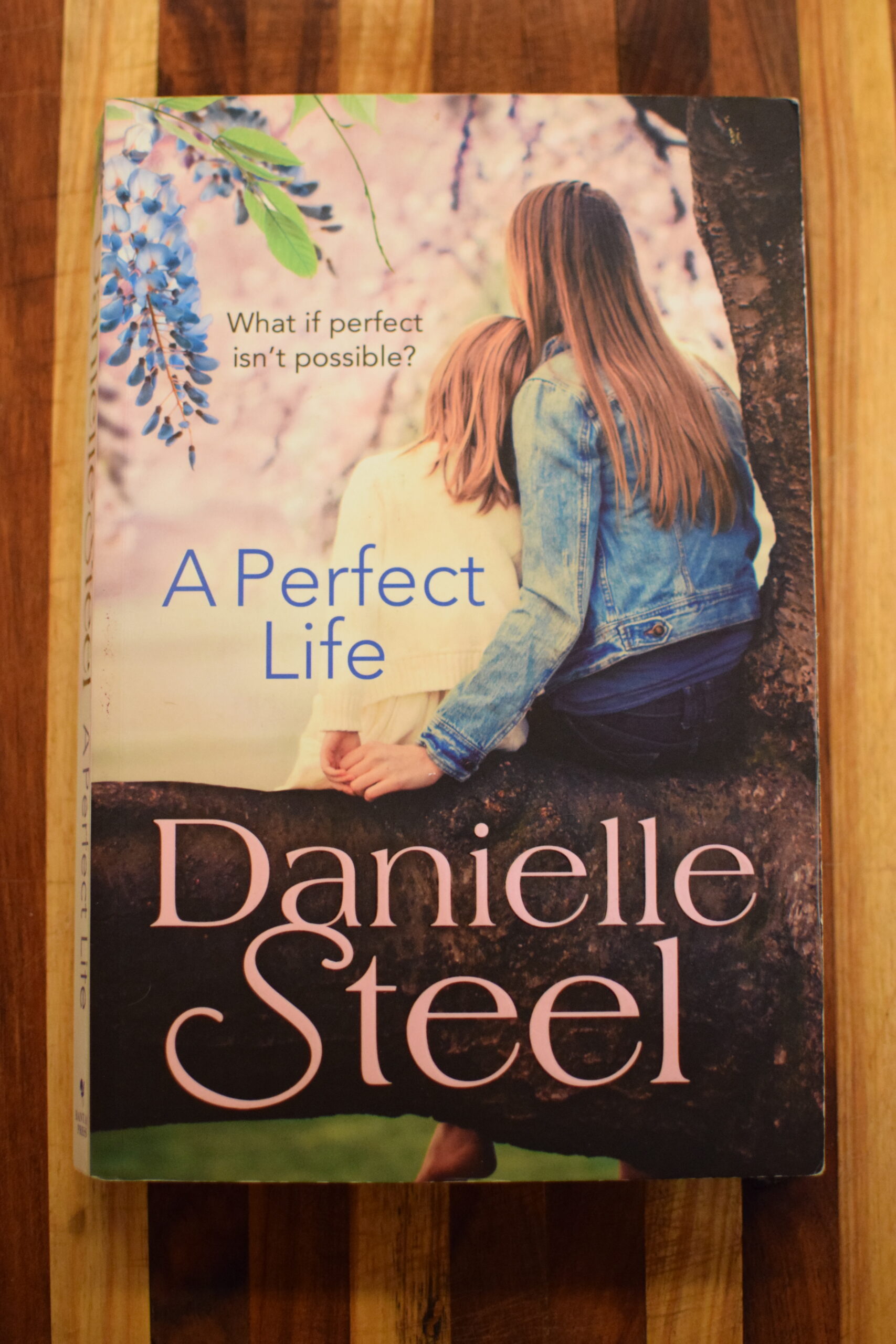 Danielle Steel - A Perfect Life